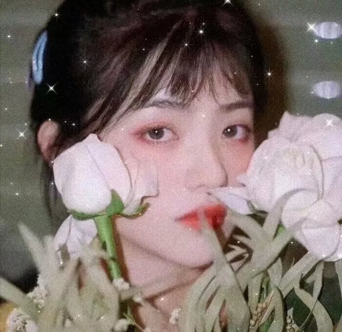 危险性追缉